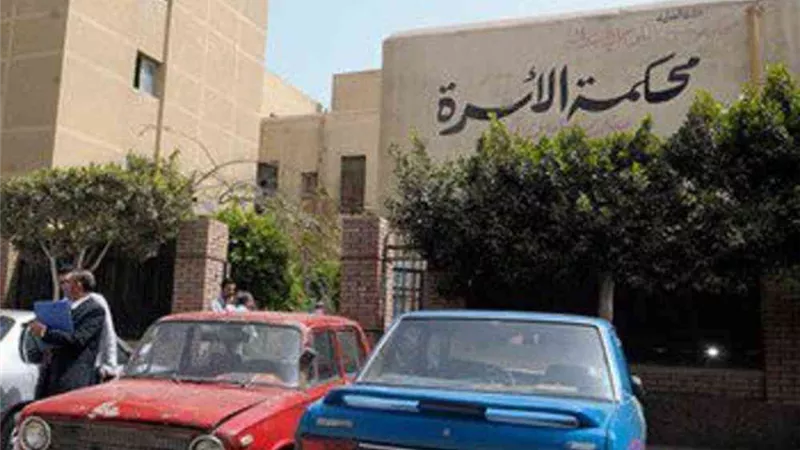 زوج لمحكمة الأسرة: مراتي نصبت على الحكومة