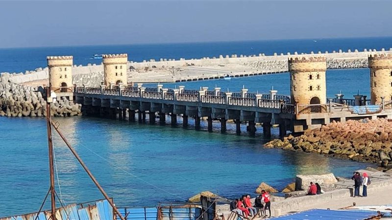 حماية الشواطئ بالاسكندرية