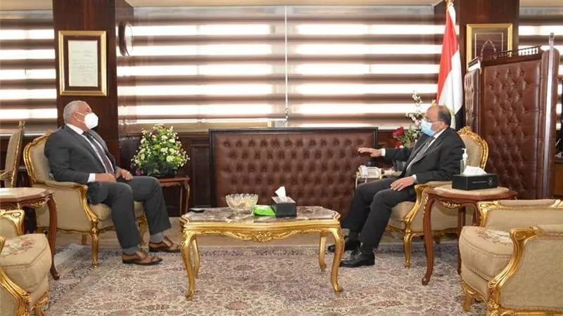 وزير التنمية المحلية يتابع مع محافظ الوادى الجديد المشروعات الجارية بالمحافظة