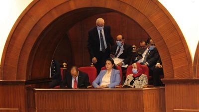 عضو لجنه الشئون الخارجيّة بالشيوخ خطاب الرئيس حمل بين طياته الكثير من الرسائل