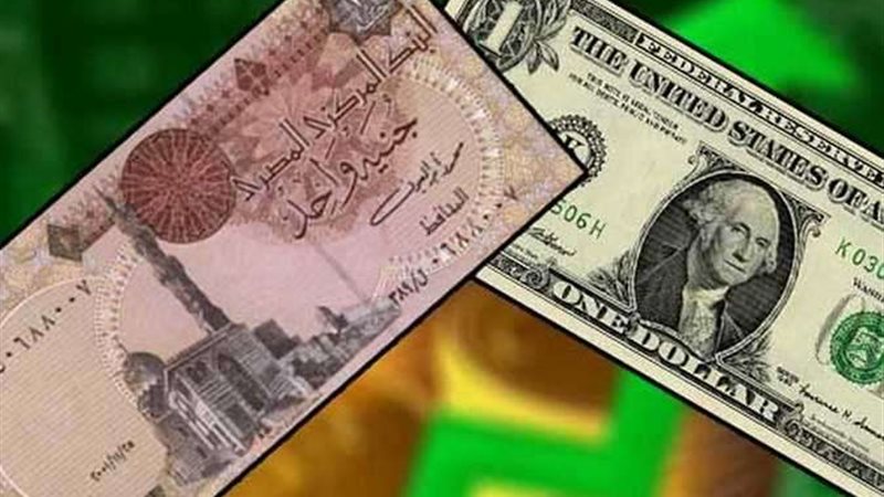 الدولار امام الجنية