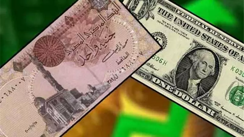 تعرف على سعر الدولار في نهاية تعاملات اليوم السبت