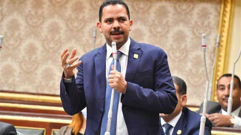 أشرف رشاد يطالب بتدخل دولي لحماية فلسطين