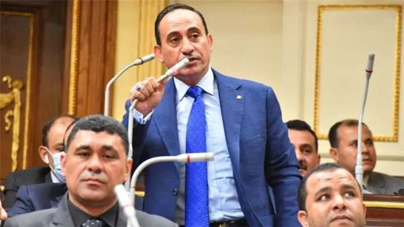 برلماني: التعامل الخاطئ مع المستثمر يعطل الاستثمار