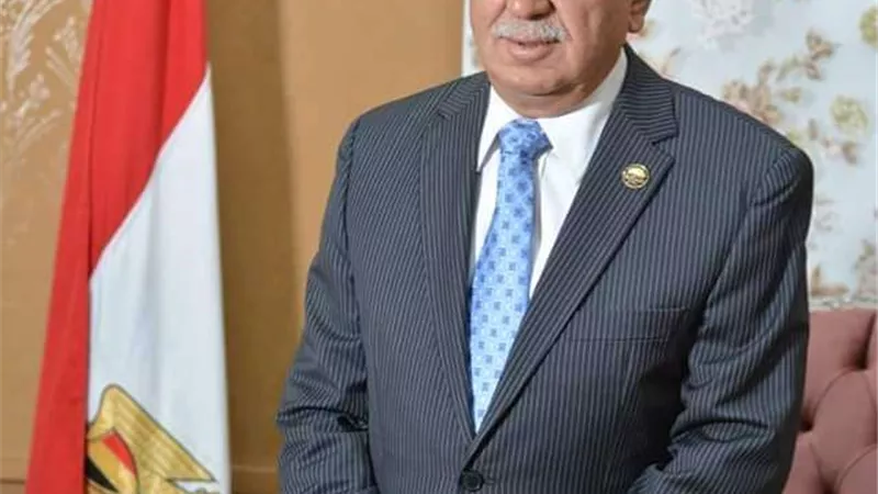 النائب أحمد عثمان: السماح للأجانب بتملك العقارات يعد مصدرًا للنقد الأجنبي ودعم الاقتصاد