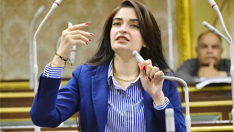 خاص| النائبة إيرين سعيد تطالب بتفعيل التعقب الإليكتروني للرقابة على الأدوية