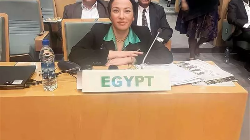 ياسمين فؤاد :قانون تنظيم المخلفات يدعم مشاركة القطاع الخاص