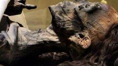 سر بقاء شعر المومياء المملكة 
