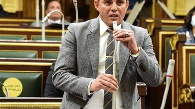 برلماني: مهرجان العلمين الجديدة بداية التسويق الجيد للفرص الاستثمارية والسياحية