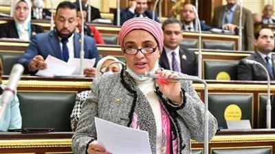 النائبة سميرة الجزار تسأل الحكومة بشأن تأخر إعداد مشروع قانون الأحوال الشخصية