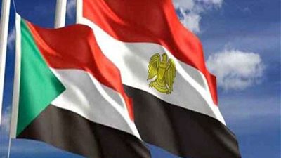 تعرف على جهود مصر لحل الأزمة السودانية.. فيديو