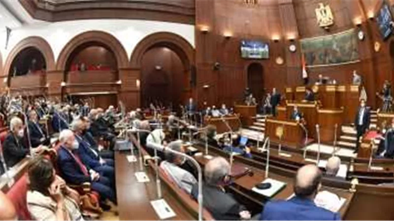 المنزلاوي: تصريحات السفير الفرنسى بمثابة رسالة واضحة للمجتمع الدولى على أهميه مصر