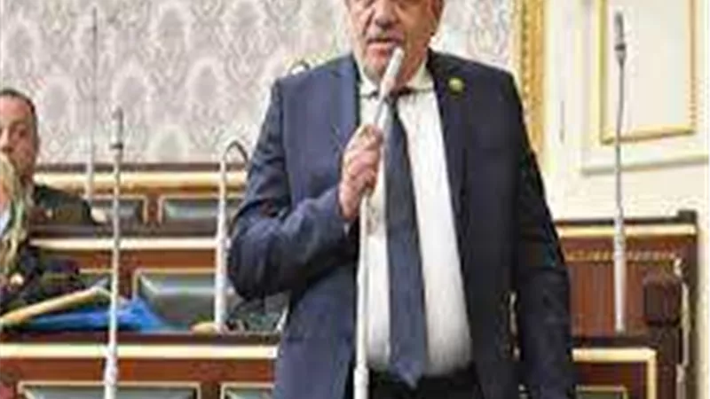 عضو بالنواب يطالب بتنفيذ قرارات الشرعية الدولية لإقامة الدولة الفلسطينية المستقلة
