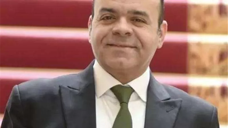 عمرو القماطي: قانون التحالف الوطني للعمل الأهلي يساهم في استكمال المسار التنموي القومي