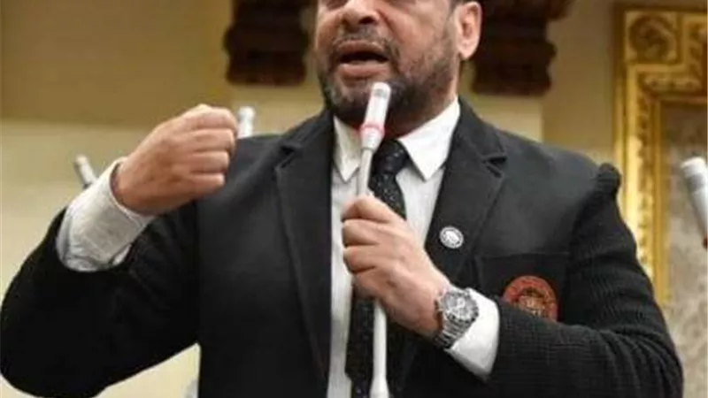 محمود الشامي: دعوة مصر لعقد قمة دول جوار السودان يستهدف الحفاظ على الدولة