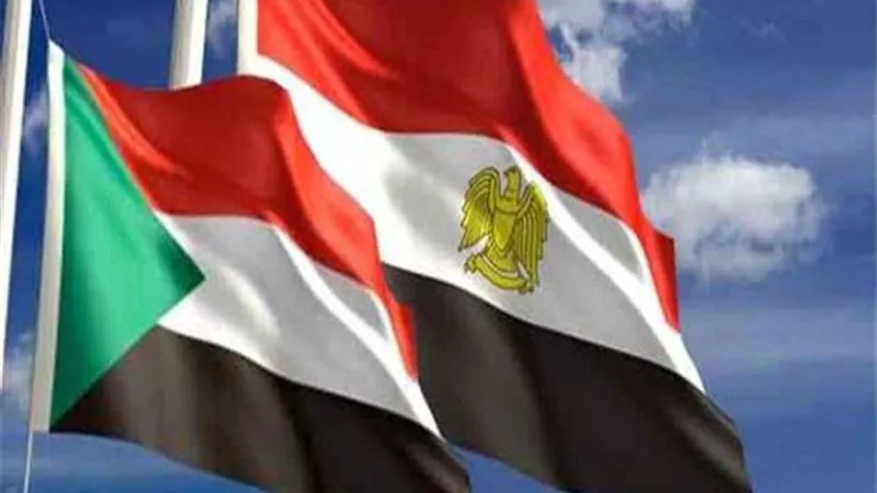 تعرف على جهود مصر لحل الأزمة السودانية.. فيديو