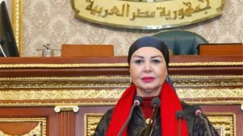 النائبة أمل سلامة: قمة دول جوار السودان خطوة متميزة لإنهاء الصراع