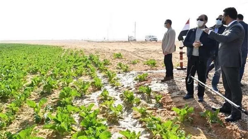 يوفر 200 ألف فرصة عمل.. أبرز المعلومات عن مشروع 