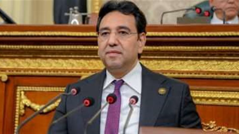 النائب الدكتور أيمن