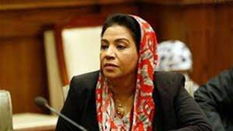 النائبة نشوى الديب،