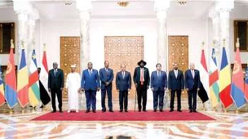 النائب عصام هلال: قمة دول جوار السودان نالت إشادة الجميع.. فيديو
