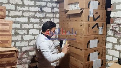 حملة تفتيشية مكبرة بسرس الليان في المنوفية