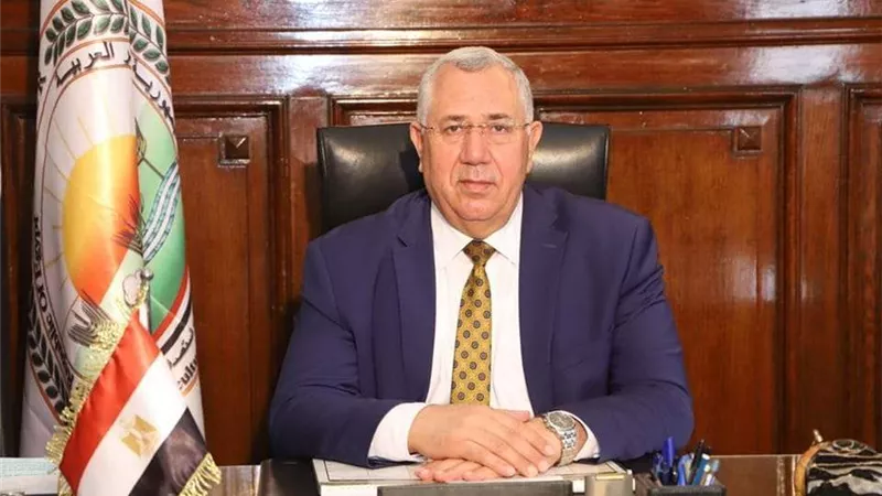 الزراعة تتابع مكافحة الآفات للاطمئنان على محاصيل القطن والذرة والارز