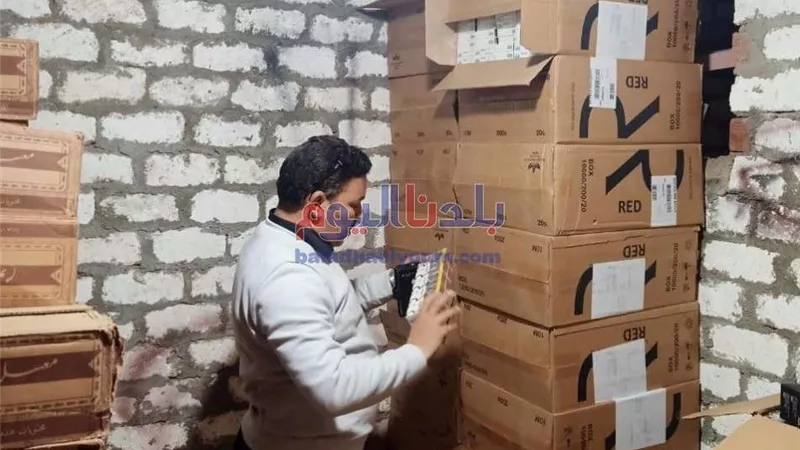 حملة تفتيشية مكبرة بسرس الليان في المنوفية