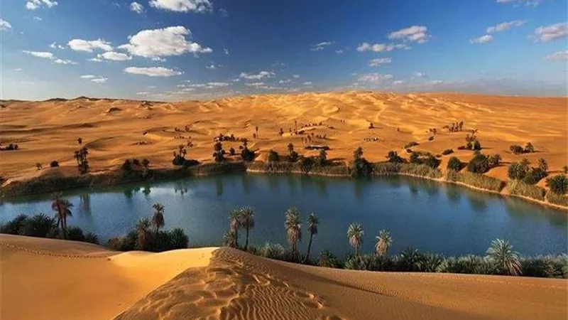 كبير مشايخ سيوة: السيسي كتب شهادة ميلاد جديدة لهذه المنطقة