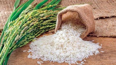 أنباء سارة بانخفاض سعر الأرز..  تساؤلات وإجابات بشأن قرار الهند الأخير