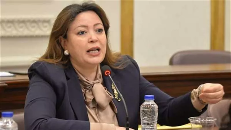 النائبة سماء سليمان: قرار العفو الرئاسي يفتح قنوات الحوار أمام الجميع