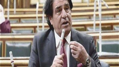 برلماني: كلمة السيسي بذكرى 23 يوليو أكدت قدرة مصر على مواجهة جميع التحديات