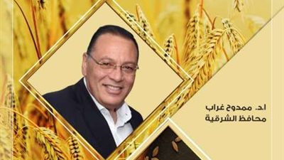 صوامع وشون محافظة الشرقية تستقبل 38 طن قمح