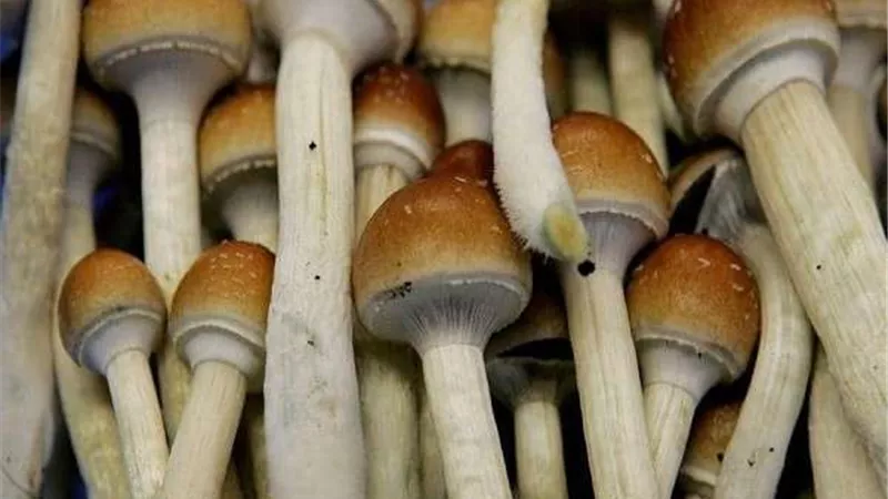 بنفس فعالية الأدوية.. علماء يكتشفون علاج سحري للاكتئاب