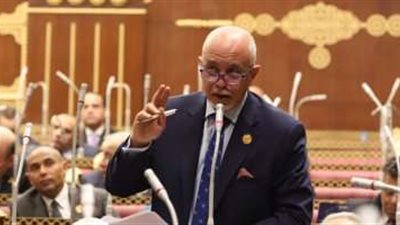 برلماني: انسحاب روسيا من اتفاقية الحبوب لن يؤثر على مصر