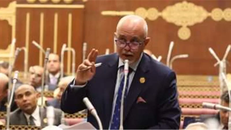 برلماني: انسحاب روسيا من اتفاقية الحبوب لن يؤثر على مصر