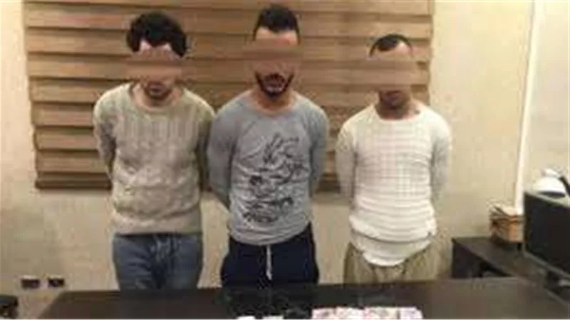 أمن القاهرة يضبط 3 أشخاص بحوزتهم كمية من المواد المخدرة