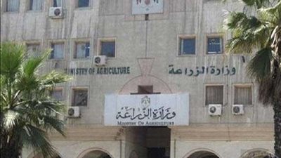 الصادرات الزراعية المصرية تتجاوز الـ 5 مليون طن