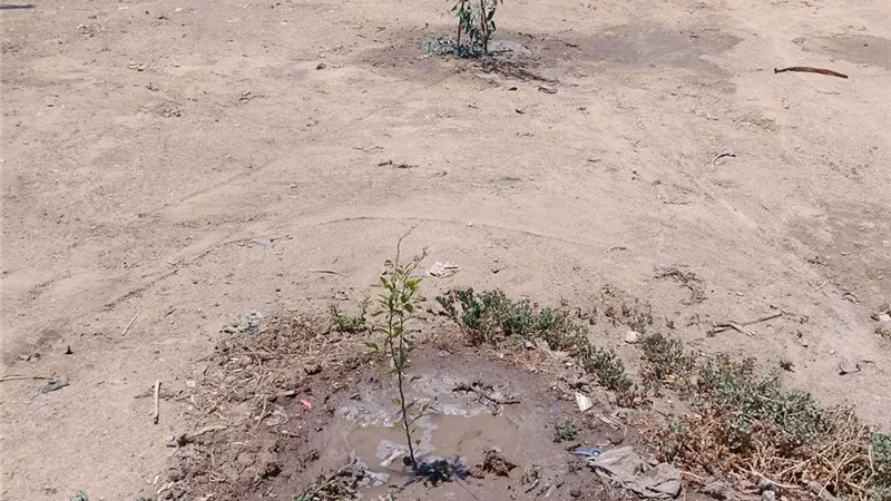 محافظ المنوفية يتابع جهود الوحدات المحلية في تنفيذ أعمال المبادرة الرئاسية 