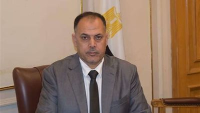 أنور رحيم: مصر لديها إمكانيات بكافة المجالات لإعمار ليبيا