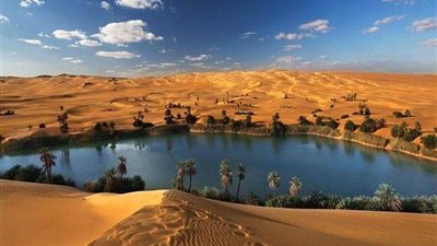 شاهد.. تيلجراف تدعو لزيارة الإسكندرية وواحة سيوة