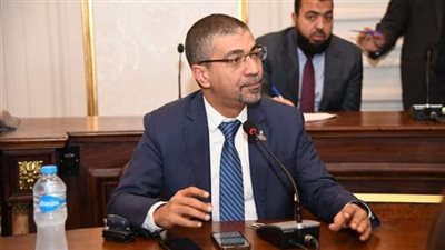 البدري: مصر دائما تقف داعمة للقضية الفلسطينية