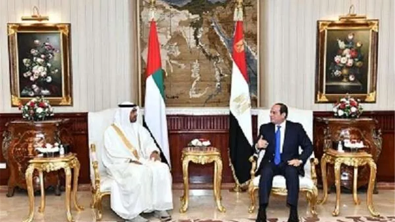 بن زايد يبحث مع الرئيس السيسي العلاقات الاستراتيجية بين البلدين