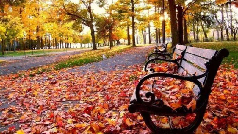 51 يومًا تفصلنا عن انتهاء فصل الصيف رسميًا