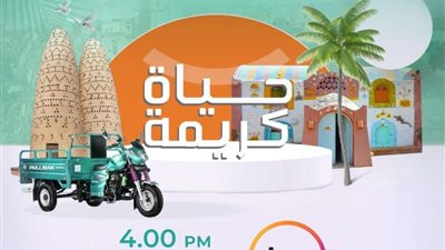 برلمانية: «حياة كريمة» تمثل انجاز كبير وحلم يتحقق لتغيير وجه الحياة في الريف المصرى