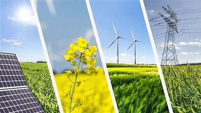 أستاذ طاقة متجددة: على المجتمع الدولي دعم الدول المتضررة من تغيرات المناخ
