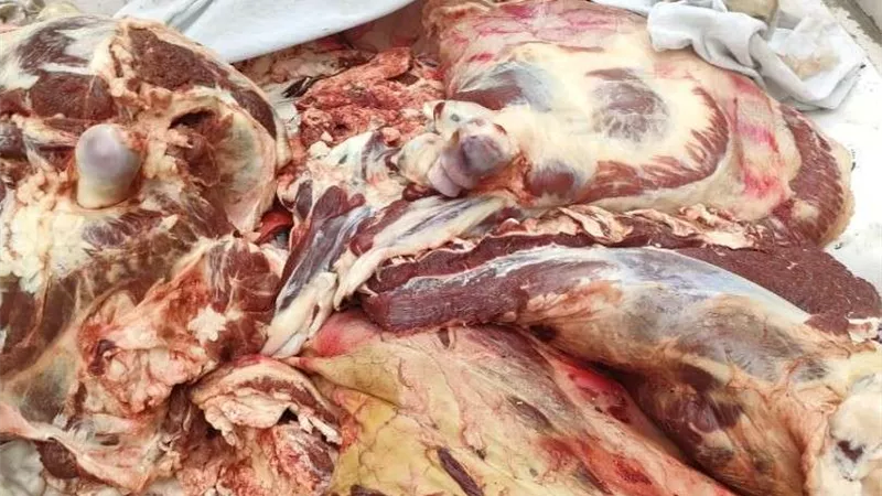 ضبط 21 طن لحوم وأسماك ودواجن وكبدة فاسدة بالجيزة