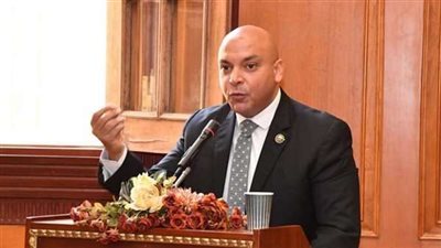 نائب التنسيقية: قناة السويس الجديدة أعادت لمصر روح البناء والتنمية