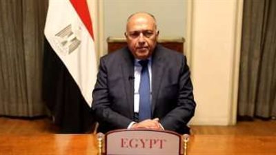 غدًا.. وزير الخارجية يتوجه إلى تشاد للمشاركة في اجتماع قمة دول جوار السودان