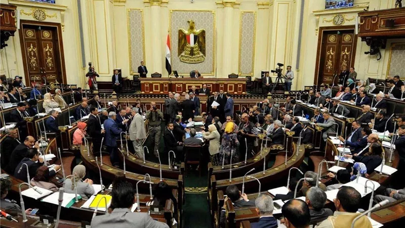تقرير برلماني يطالب باستغلال الأراضي الزراعية في ضوء الموارد المائية المتاحة